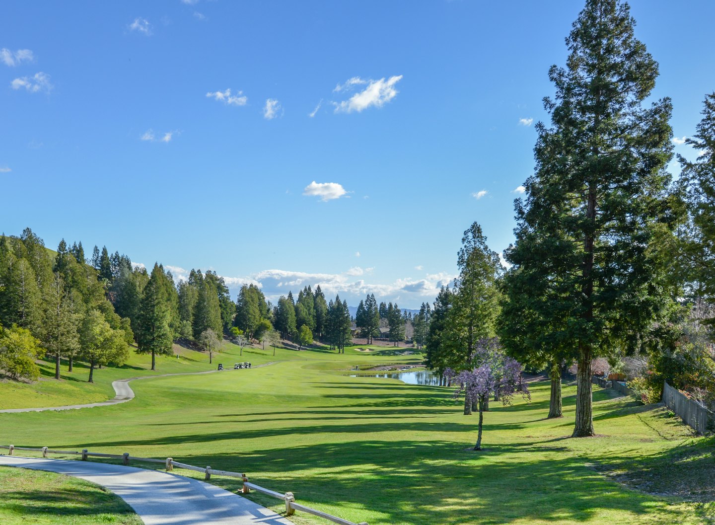 Golf carts parked near a pond on a lush course.