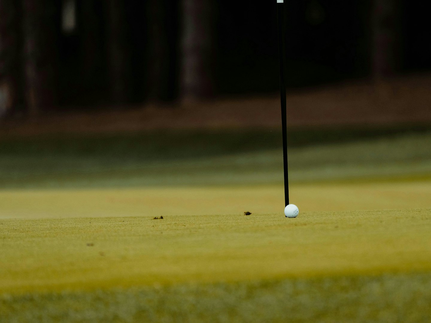 A white golf ball rests beside a black flagstick.