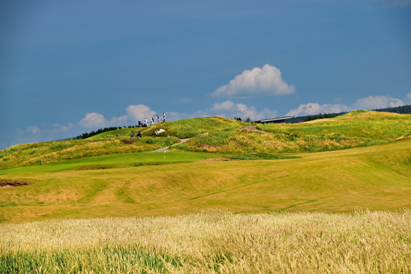 Golfers stand on a hill overlooking a large green course.