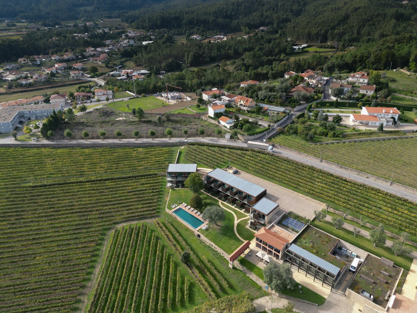 Modern resort buildings and swimming pool surrounded by lush vineyards.
